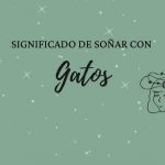 Significado de soñar con gatos