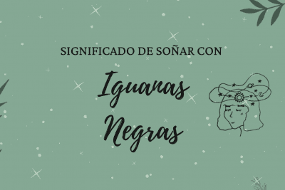Significado de soñar con iguanas negras