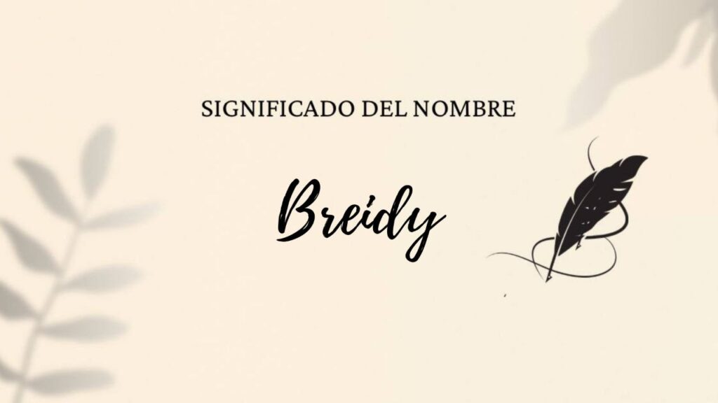 Significado del nombre Breidy